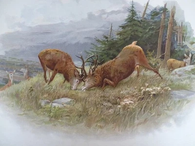 Kampfende Hirsche - Chromolithographie ML - Wildtier-Szene Tierdarstellung 1882 - Bild 1 von 4