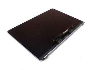 Apple A2289 13.3" LCD Screen (color may vary) | 2560x1600 Resolution | Antiglare - Afbeelding 1 van 7