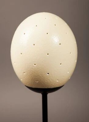 Straußenei als Ersatz für Lampe, Straussenei ca.70 Löcher - Bild 1 von 2