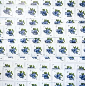 US 5652 Blueberries 4c (2022) - 100 Postage Stamps, Single Strip from Coil MNH - Picture 1 of 4