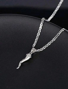 Silver Necklace With Horn Pendant  - Brings Good Luck & Protection To Wearer - Picture 1 of 5