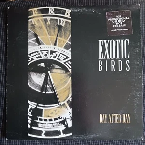 Exotic Birds – Day After Day (Alpha International Records – SPRO-79264/79265) - Picture 1 of 4
