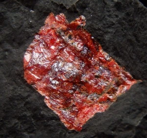 ¡REALGAR localidad rara! ESPAÑA Asturias - Pola de Lena - Mina Soterraña /pj776 - Imagen 1 de 13