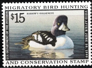 US Stamp Scott #RW65, $15, 1998 Federal Duck Hunting Stamp, MNH, SCV$40.00 - Picture 1 of 1