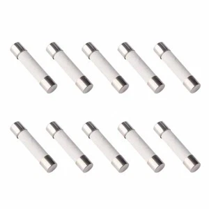 10X FUSIBLES DE MICROONDAS CERÁMICA UNIVERSALES 8 AMPERIOS SOPLADO LENTO 20mm x 5mm T8AH 250V - Imagen 1 de 2