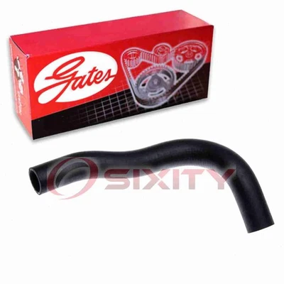 Manguera de refrigerante de radiador inferior Gates para Chrysler Intrepid 1998-2004 3,2 L 3,5 L fl Foto 1 de 4