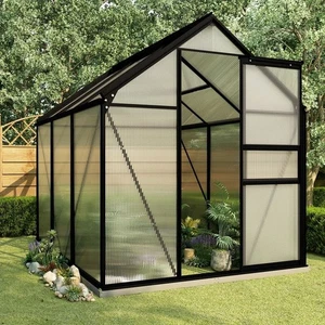 Gewächshaus Anthrazit und Transparent Aluminium und Polycarbonat - Bild 1 von 6