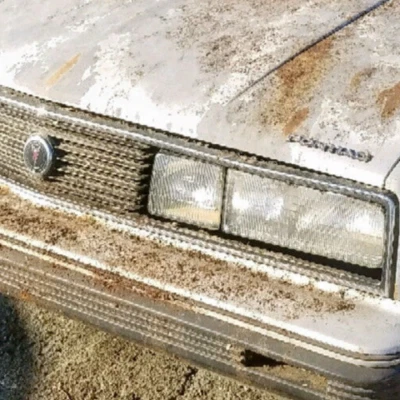 Pontiac 6000 : 1983, 1984, 1985, 1986, Left, Driver, Fog Light, Grille Mounted - Image 1 of 4