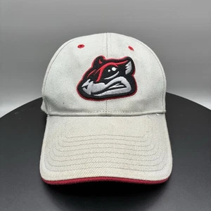 Richmond Flying Squirrels ‘47 Brand Adult OSFA Gray Minor League Baseball Hat - Picture 1 of 7
