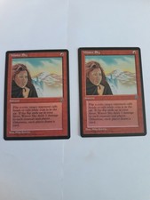 MTG 2x Winter Sky Homelands NM Packfresh