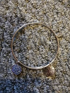 Chrysalis Silver Charm Wisdom Insight Expandable Bracelet Bangle - Picture 1 of 2