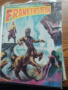 Burg Frankenstein #21 sehr guter Zustand - Bild 1 von 1