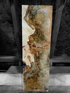 XL MIND BLOWING FIGURED BIRDSEYE MAPLE Burl wood EPOXY/ Craft wood TURNING WOOD - Picture 1 of 8