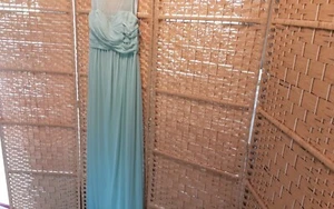 NWT $159.95 David's Bridal Gown color meadow long 100% polyester lining polyeste - Picture 1 of 11