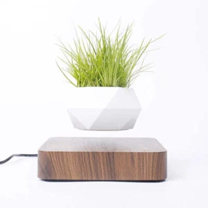 Floating Bonsai Plant Pot Rotating Flower Planter Levitating Magnetic Hovering - Picture 1 of 27