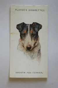 1929 John Player & Sons Dogs Heads No. 41 Smooth Fox-Terrier - Picture 1 of 1