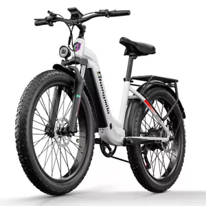 Bicicleta eléctrica 26 pulgadas bicicleta de montaña 48V 7.5AH bicicleta eléctrica Fatbike Pedelec City ebike - Imagen 1 de 24