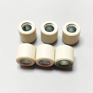 Variator Rollers 25x22mm 16Gram For Sym RV250 CityCom 300i Joymax GTS Quadlander - Picture 1 of 2