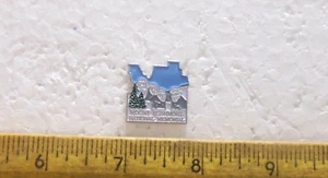 Mount Rushmore - National Memorial Pin - Picture 1 of 4
