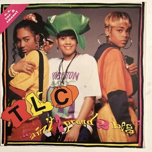 Tlc Aint To Proud To Beg 12 Inch Vinyl 1992 la face records US press  - Picture 1 of 4
