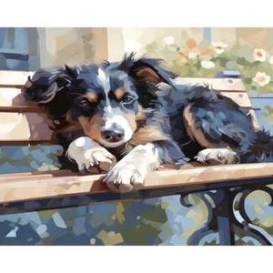 Paint By Numbers Adults kids Animals Puppy Bench DIY Painting Kit 40x50CM Canvas - Picture 1 of 11