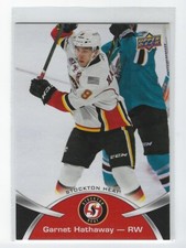 2015-16 Upper Deck AHL #48 Garnet Hathaway