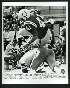 Tom Matte 1966 Press Photo Baltimore Colts Dallas Cowboys Runner-Up Play-Off - Picture 1 of 2