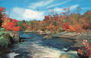 Mount Holly NJ Nueva Jersey, Scenic Fall Country Woodland Stream, postal vintage - Imagen 1 de 2