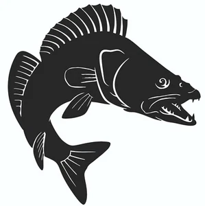 Zander Fisch Angeln Fischen Angel Logo Deko 60cm-100cm aus 3mm Stahl Fischerei - Picture 1 of 1