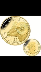 2014 Fine Gold Coin 0.5g Rocky Mountain Bighorn Sheep RCM Only 10000 - Picture 1 of 3