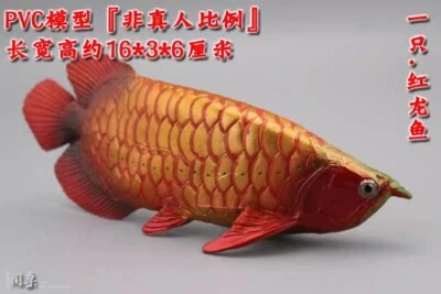 动物模型 1/6 红色龙鱼雕像动物人偶模型玩具装饰  — 第 1/4 张图片