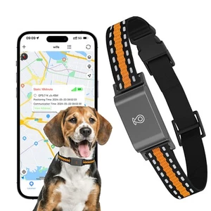 GPS Pet Tracker Collar for Dogs & Cats – 4G LTE, Waterproof, Real-Time Location - Picture 1 of 10