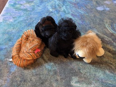 Webkinz Plush Lot Of 4 Gorilla, Snake, Lion NO TAG NO CODES - Image 1 of 4