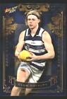 2024 Select Footy Stars AFL - Club Royalty /99 Zach Guthrie Geelong Cats
