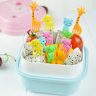 Set of 10pcs Cute Animals Food Picks Mini Cartoon Toothpick Fruit Forks Pick BAZ