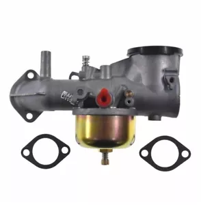 HIGH QUALITY Carburetor F Briggs & Stratton 256707 256702 Part 491602 PRIORITY - Bild 1 von 2