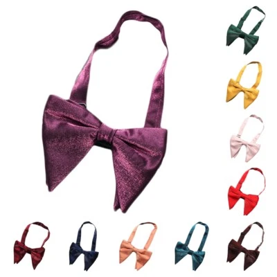 Pajarita ancha ajustable preatada grande brillante de doble capa para hombre LE23091 Foto 1 de 4