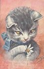 Pc11859 Postcard Artist Signed Cat Thiele Postally Used 1907
