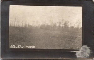 RPPC • Ort der Schlacht von Belleau Wood Hauts-de-France im Ersten Weltkrieg in der Nähe des Flusses Marne - Bild 1 von 2