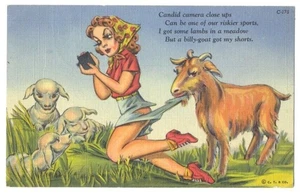 C.T. What A Life Comics ZIEGE zieht Rock aus SEXY Fotografin 1938 Leinen - Bild 1 von 2