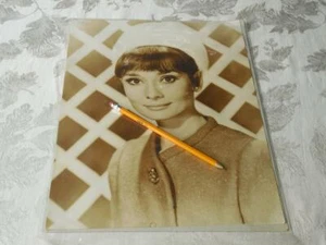 Audrey Hepburn 11X 14 Brillante RARO Sombrero Blanco ¿Charrade? FOTOGRAFÍA vintage - Imagen 1 de 1