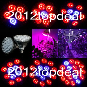 E27 27W 36W 45W 54W PAR38 LED LED Grow Light Red & Blue LED Spectrum for Plant