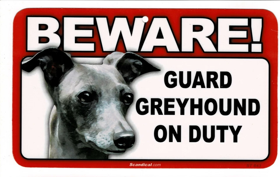 CUIDADO CON EL LETRERO RECTANGULAR LAMINADO PERRO/MASCOTA GALGO. ENVÍO COMBINADO. Foto 1 de 1