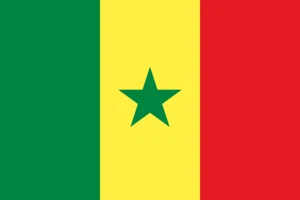 5' x 3' Nationalflagge Senegal Stoff Polyester Flagge Feiern Veranstaltungen  - Bild 1 von 3