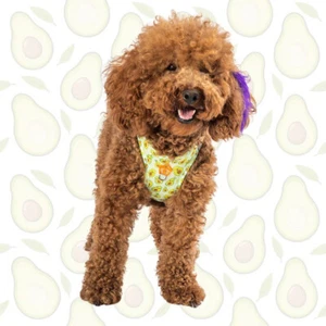 Avocado Print Dog Harness – Reflective, Comfy, Adjustable Pawstar Size 2XS - Picture 1 of 7