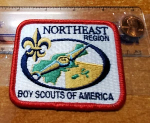 BSA Notheast Region patch 3" rectangle gold Fleu-de-lis{ww} - Picture 1 of 2