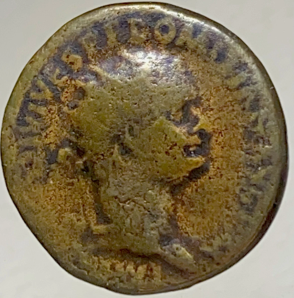 TKC027 クラウディウスのデュポンディウス TKC027 クラウディウスの