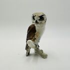Hutschenreuther Owl Figurine Glossy 3" Germany Retired Vintage Decor Porcelain