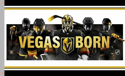 Vegas Golden Knights Flag 3x5ft Banner Polyester Ice Hockey Stanley Cup 010 Cover