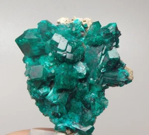 DIOPTASE --- BIG CRYSTALS !!! Republic CONGO - Pool Department - SANDA /pj889 - Picture 1 of 18